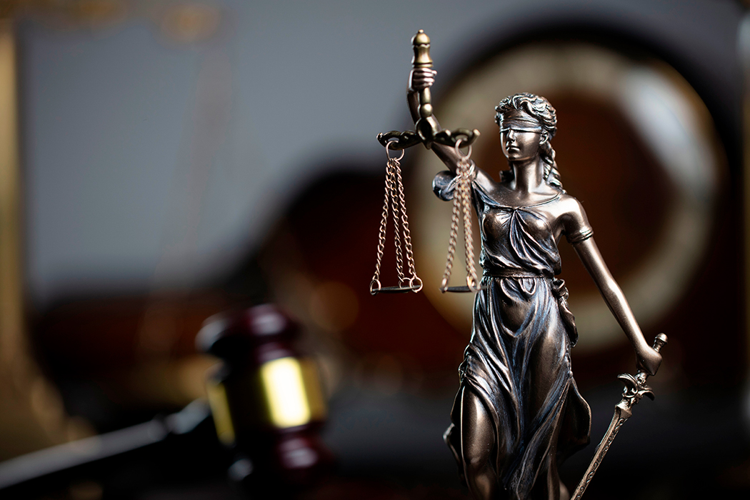 Nova lei de licitações